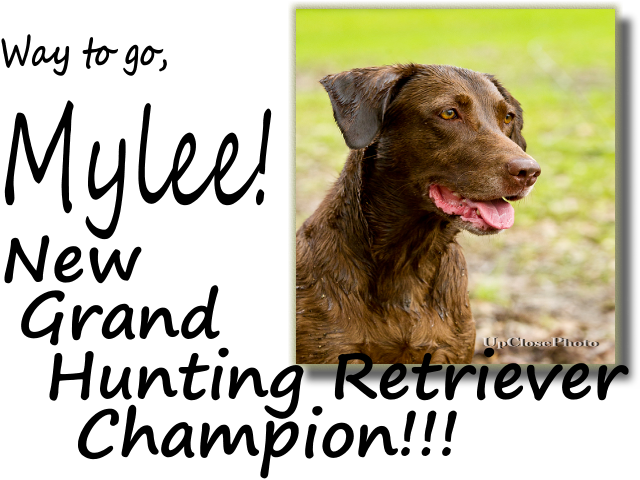 Gator Point Kennels